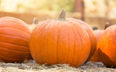 Avoid Sweet Pumpkin-Spiced Disaster