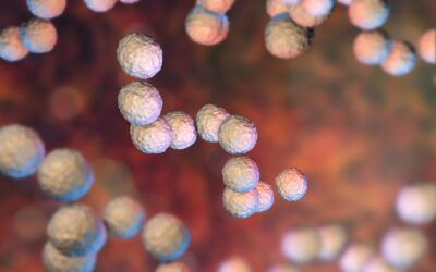 Probiotics to Prevent Toothache