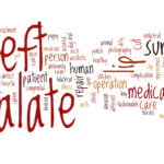 A word cloud with various terms related to cleft palate and surgery. The largest words are "cleft," "palate," "lip," "surgery," "repair," "patient," and "medical." Other words included are "treatment," "intervention," "operation," "care," "congenital," "defect," "deformity," "hospital," "doctor," "recovery," "illness," "health," "human," "cut," "stitches," "improvement," "equipment," and many more, depicting a wide range of topics associated with cleft palate and its treatment.