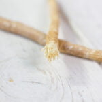Close-up of two miswak sticks placed on a light wooden surface. One stick is positioned horizontally in the background, while the other is angled in the foreground, with its frayed, fibrous end clearly visible. The image highlights the natural texture and fibers of the miswak, used traditionally for oral hygiene.