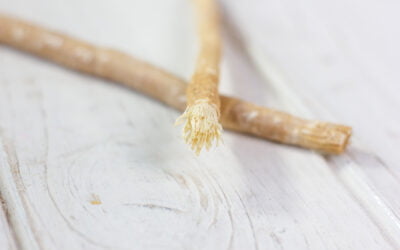 A Different Kind of Toothbrush