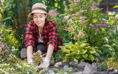 What Happens If We Skip Brushing?